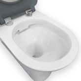 Fienza Delta Care Back-to-Wall Toilet Suite, Grey Seat